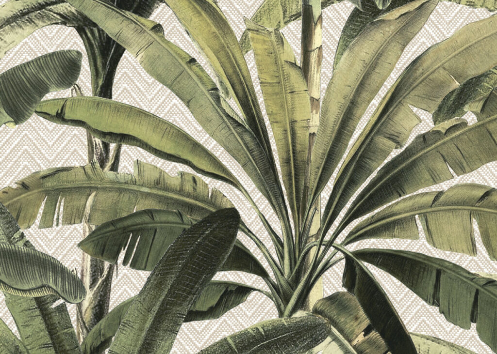 Arte Palmera: detailansicht überlagerter grüner Palmblätter und der fein gezeichneten Oberfläche.