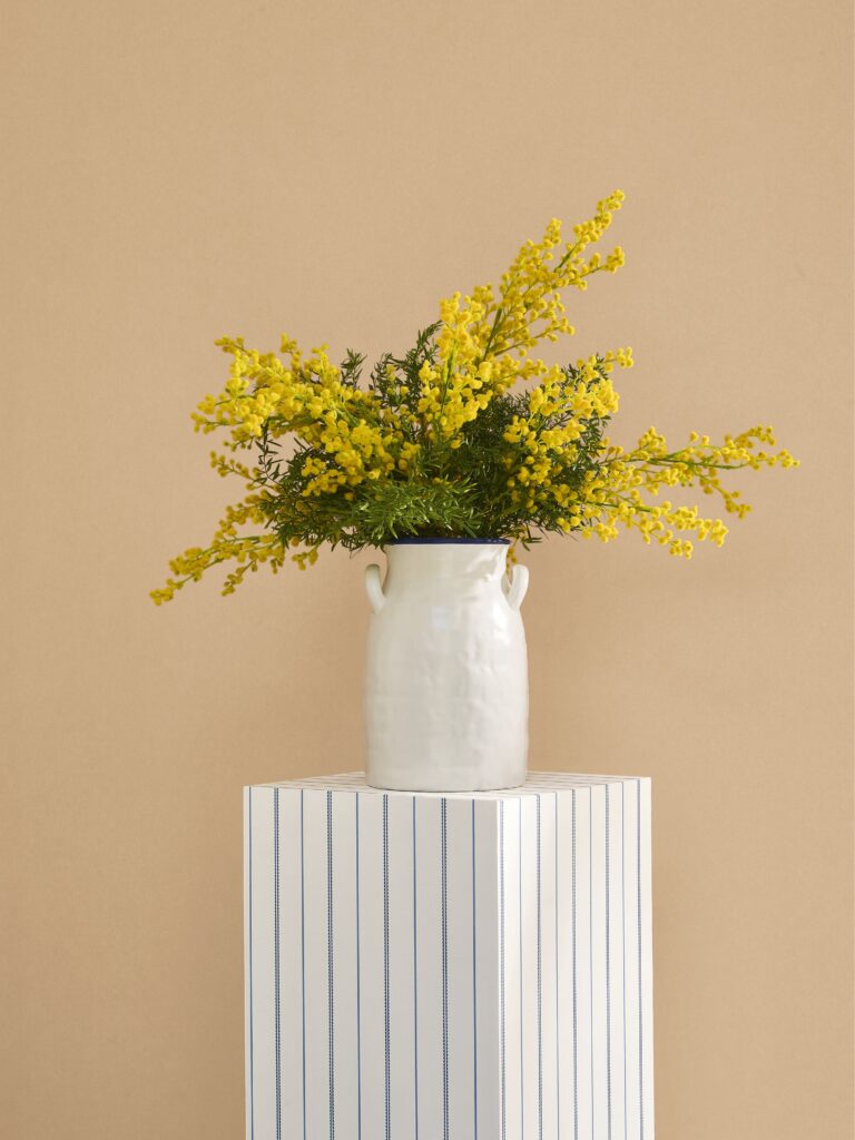 Warme beigefarbene Wand mit heller Vase und gelben Zweigen aus der Kollektion Maison de famille.