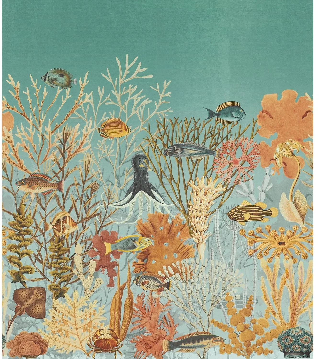 Moorea von Casamance mit Korallen, Fischen und Meerespflanzen vor einem türkisgrünen Hintergrund.